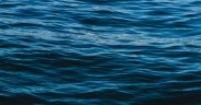 MSC responds to the FAO's State of World Fisheries and Aquaculture 2026