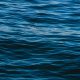 MSC responds to the FAO's State of World Fisheries and Aquaculture 2026