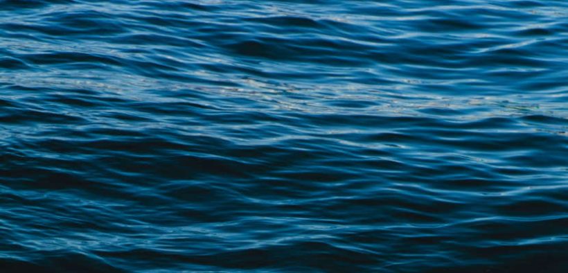 MSC responds to the FAO's State of World Fisheries and Aquaculture 2026