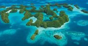 New Report Shows Path Forward for Delivering on Marine 30x30 Commitments
