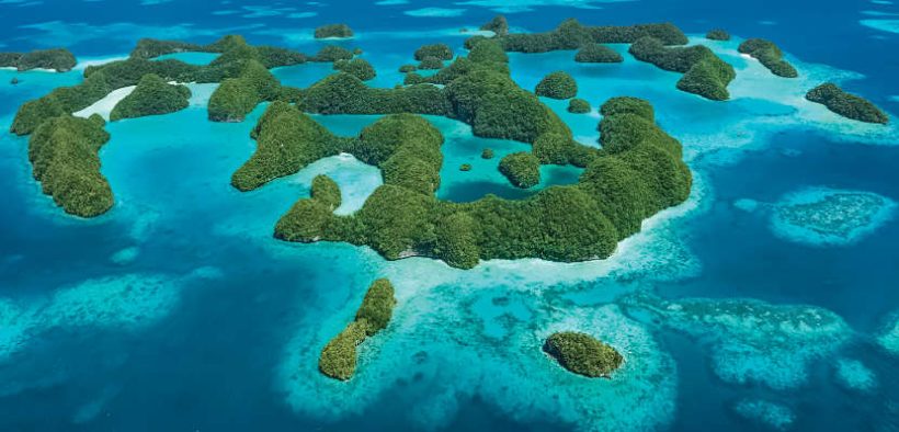New Report Shows Path Forward for Delivering on Marine 30x30 Commitments