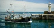ON IUU DAY