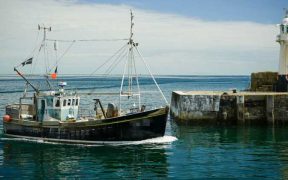 ON IUU DAY