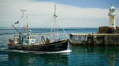 ON IUU DAY