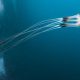 PML SCIENTISTS CONTRIBUTE TO UN OCEAN ASSESSMENT