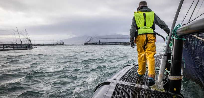 SALMON SALES HIT £1.6 BILLION AHEAD OF WORLD CUP SUMMER
