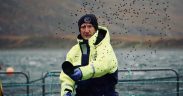 SALMON SCOTLAND COMMENT ON PROSPER CALL