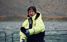 SALMON SCOTLAND COMMENT ON PROSPER CALL