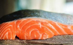SCOTLAND’S £1BN SALMON SECTOR SHOULD BE A PRIORITY