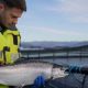 SCOTTISH SALMON SURVIVAL AT RECORD HIGH