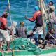 SIXTEEN COUNTRIES ADOPT MOMBASA DECLARATION