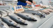 SOUTH KOREAN GOVERNMENT ANNOUNCES PRICE STABILISATION