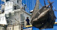 SOUTH KOREA’S TUNA FISHERIES DEMONSTRATING WHAT’S POSSIBLE(1)