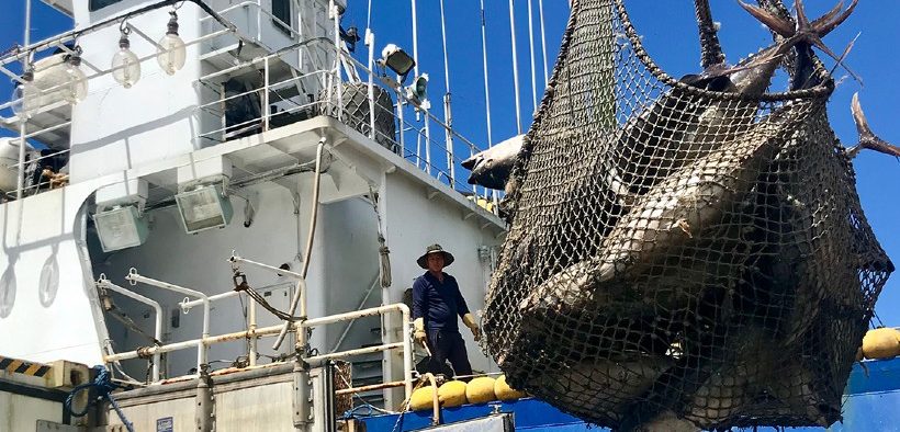 SOUTH KOREA’S TUNA FISHERIES DEMONSTRATING WHAT’S POSSIBLE(1)