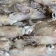 Squid Buyers Warn Chile and Peru Reforms Threaten Sustainability