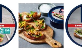 555 AMANDA LAUNCHES AMBIENT MUSSELS RANGE