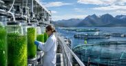 ALGAL PROTEIN FEED ADOPTION PROJECTED TO GROW STEADILY