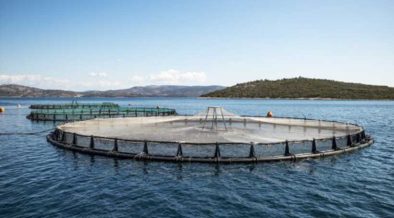 ASC EXTENDS FARM STANDARD TRANSITION DEADLINE 1