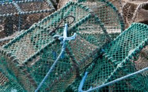Closure of Gael Force Stornoway Factory