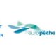 EUROPEAN SOCIAL PARTNERS CALL FOR AN EU DIRECTIVE