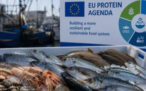 EUSEA REGRETS EXCLUSION OF AQUATIC FOODS