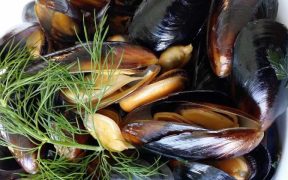 FOOD LEADERS URGE FUTURE PRIME MINISTER TO BACK PLAN