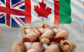 FROZEN COOKED WHELK MEAT IMPORTS INTO SOUTH KOREA DECLINE