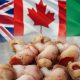 FROZEN COOKED WHELK MEAT IMPORTS INTO SOUTH KOREA DECLINE