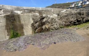 HUNDREDS OF JELLYFISH WASH ASHORE SOUTHWEST BEACHES