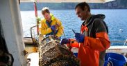 ORKNEY CREEL FISHERY ACHIEVES A WORLD FIRST!