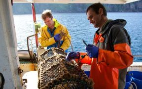 ORKNEY CREEL FISHERY ACHIEVES A WORLD FIRST!