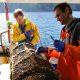 ORKNEY CREEL FISHERY ACHIEVES A WORLD FIRST!