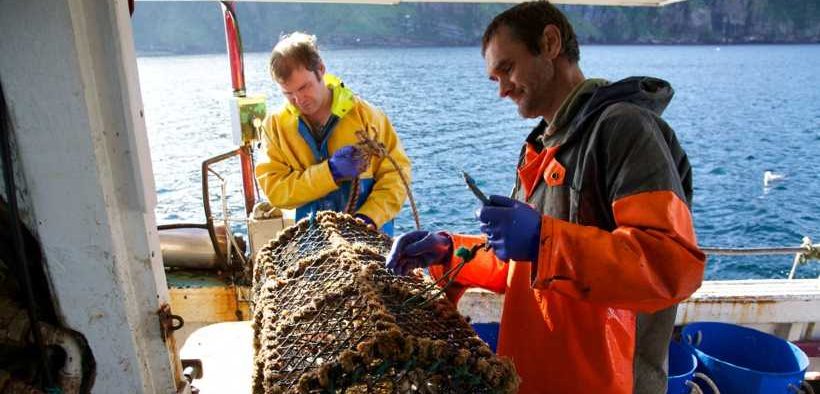 ORKNEY CREEL FISHERY ACHIEVES A WORLD FIRST!