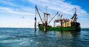 ROCKFLEET CHOSEN FOR FRANCE'S COASTAL FISHING FLEET MONITORING