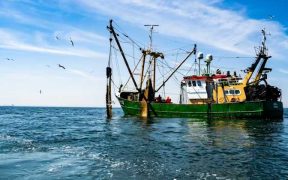 ROCKFLEET CHOSEN FOR FRANCE'S COASTAL FISHING FLEET MONITORING