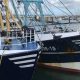 SEAFISH LAUNCHES 2026 FISHING FLEET SURVEY