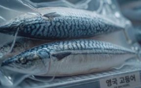SOUTH KOREA'S IMPORTS OF UK SEAFOOD PRODUCTS