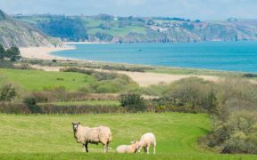 STATE OF THE SOUTH-WEST’S SEAS 2025