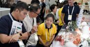 STRATEGIC BUSINESS OPPORTUNITIES FOR THE SEAFOOD SUPPLY CHAIN