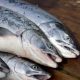 THE THIRD FISH FOCUS SEAFOOD PROCESSORS REVIEW IS OUT!