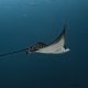 World's oceans break June heat record (1)