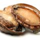 A WORLD’S FIRST FOR SABELLID WORM DETECTION