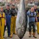 BLUEFIN TUNA MAKES HISTORIC RETURN TO WHITBY