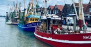 EC APPROVES €4.5M GERMAN FISHING AND AQUACULTURE AID