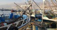 EGYPT STRENGTHENS FISHERIES MONITORING