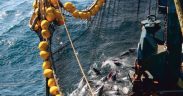 GARWARE TO PARTICIPATE IN NOR-FISHING 2026