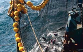 GARWARE TO PARTICIPATE IN NOR-FISHING 2026