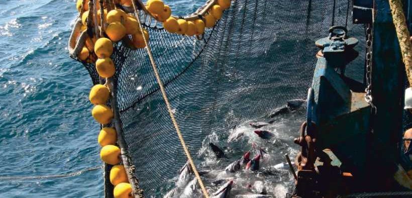 GARWARE TO PARTICIPATE IN NOR-FISHING 2026