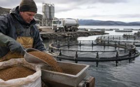 GLOBAL FISH FEED DEMAND SET TO HIT $231BN BY 2034