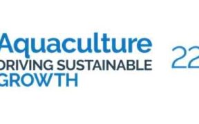ICEFISH 2026 TO EXAMINE PRACTICAL ROUTES